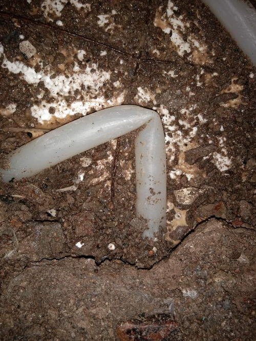 安乡堵点精准查找